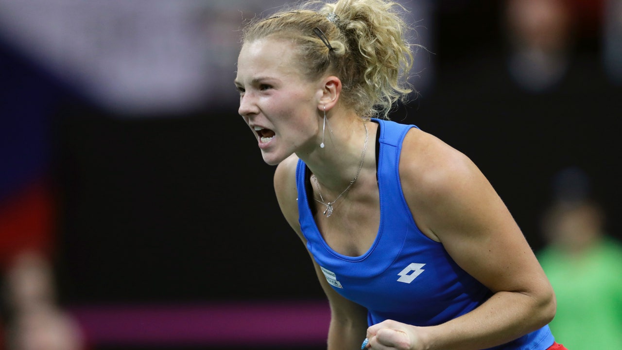 Czechs beat defending champion US 3-0 in Fed Cup final
